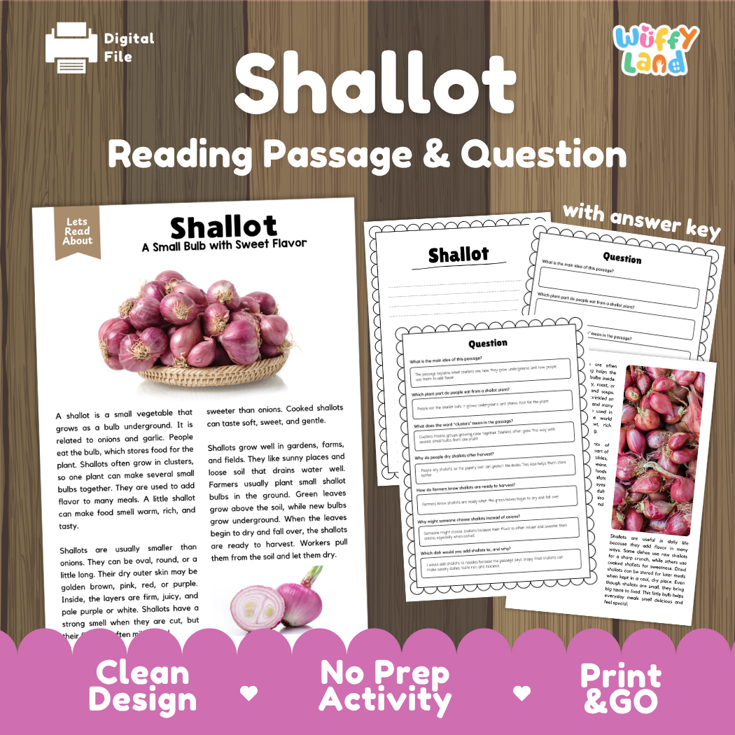 Shallot reading comprehension passage and questions printable activity pack with answer key for elementary students