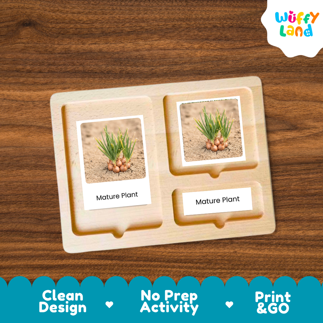 A wooden Montessori-style activity tray with two labeled slots reading 'Mature Plant,' each holding a small printed photo of a plant in soil. The tray is shown on a brown wood surface, with a white cloud logo reading 'Wuffy Land' in the top right and a blue banner at the bottom with marketing text.