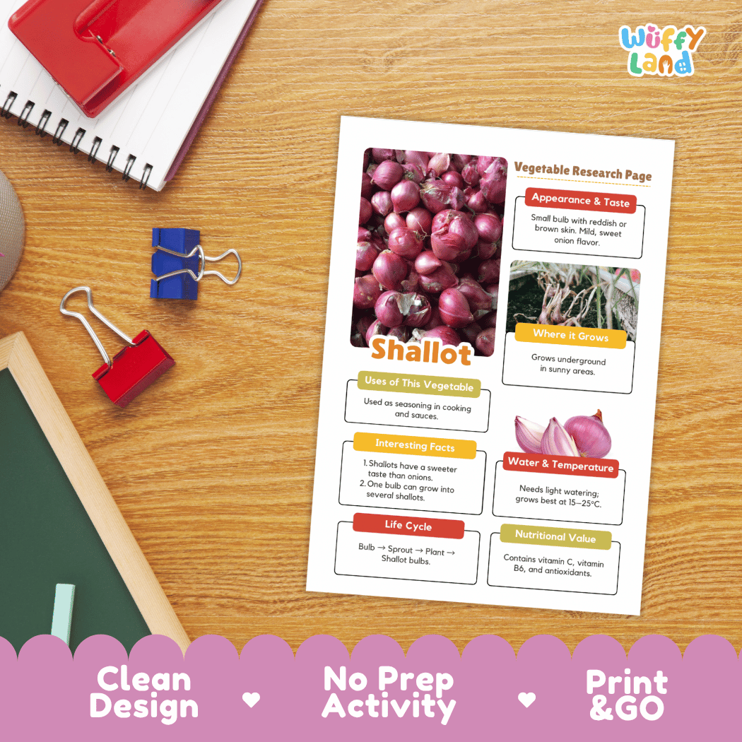 Shallot Vegetable Research Page Science Worksheets and Fact Sheet