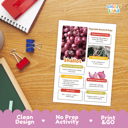 Shallot Vegetable Research Page Science Worksheets and Fact Sheet
