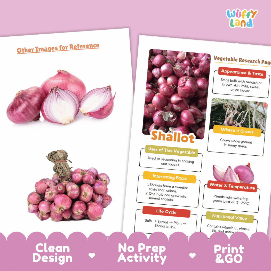 Shallot Vegetable Research Page Science Worksheets and Fact Sheet
