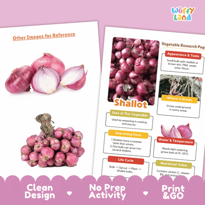 Shallot Vegetable Research Page Science Worksheets and Fact Sheet