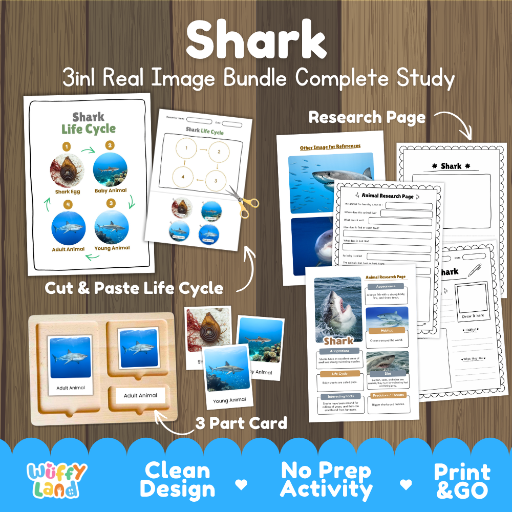 Shark 3-in-1 real image bundle complete study cover showing cut and paste life cycle, 3 part cards, and research pages