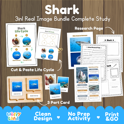 Shark 3-in-1 real image bundle complete study cover showing cut and paste life cycle, 3 part cards, and research pages