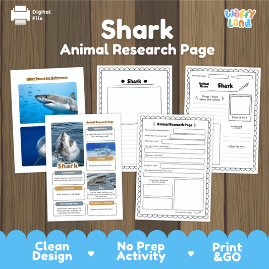 Clean design no prep print and go shark marine apex predator ocean animal life cycle study printable PDF pack for elementary science