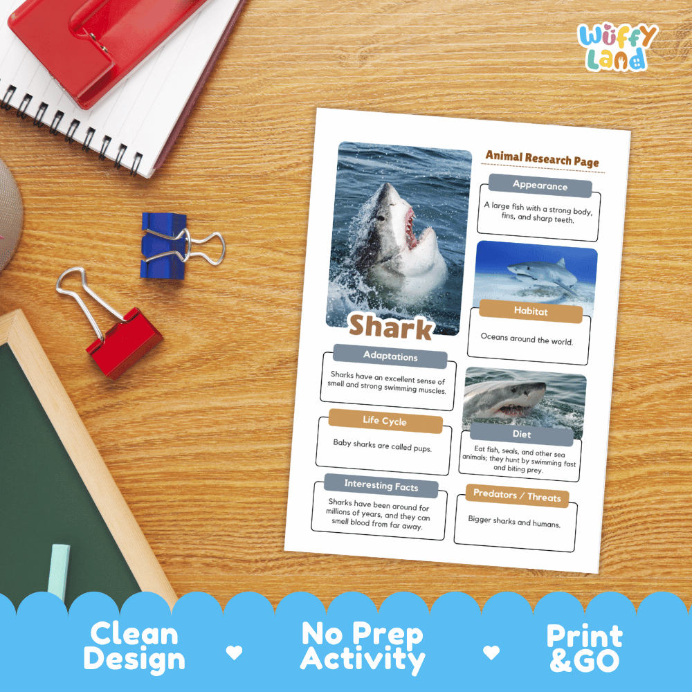 Shark Animal Research Page Worksheets and Fact Sheet Activity
