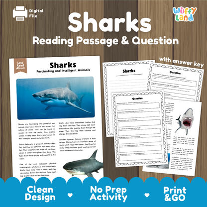 Sharks Reading Passage and Comprehension Questions Worksheets with Answer Key
