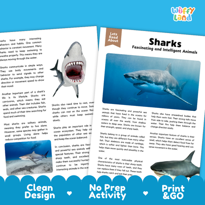 Sharks Reading Passage and Comprehension Questions Worksheets with Answer Key