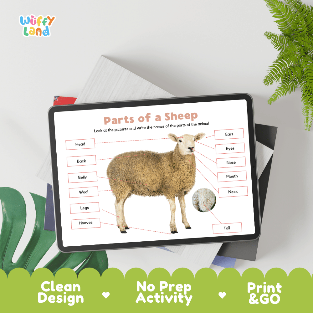 Hands-on sheep anatomy cut and paste worksheet with printable word tags, callout pointer lines, and scissors graphic