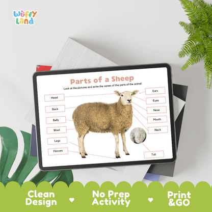 Hands-on sheep anatomy cut and paste worksheet with printable word tags, callout pointer lines, and scissors graphic