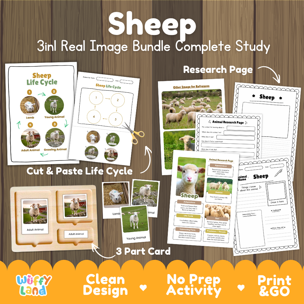 Sheep 3-in-1 real image bundle complete study cover showing cut and paste life cycle, 3 part cards, and research pages
