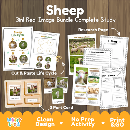 Sheep 3-in-1 real image bundle complete study cover showing cut and paste life cycle, 3 part cards, and research pages