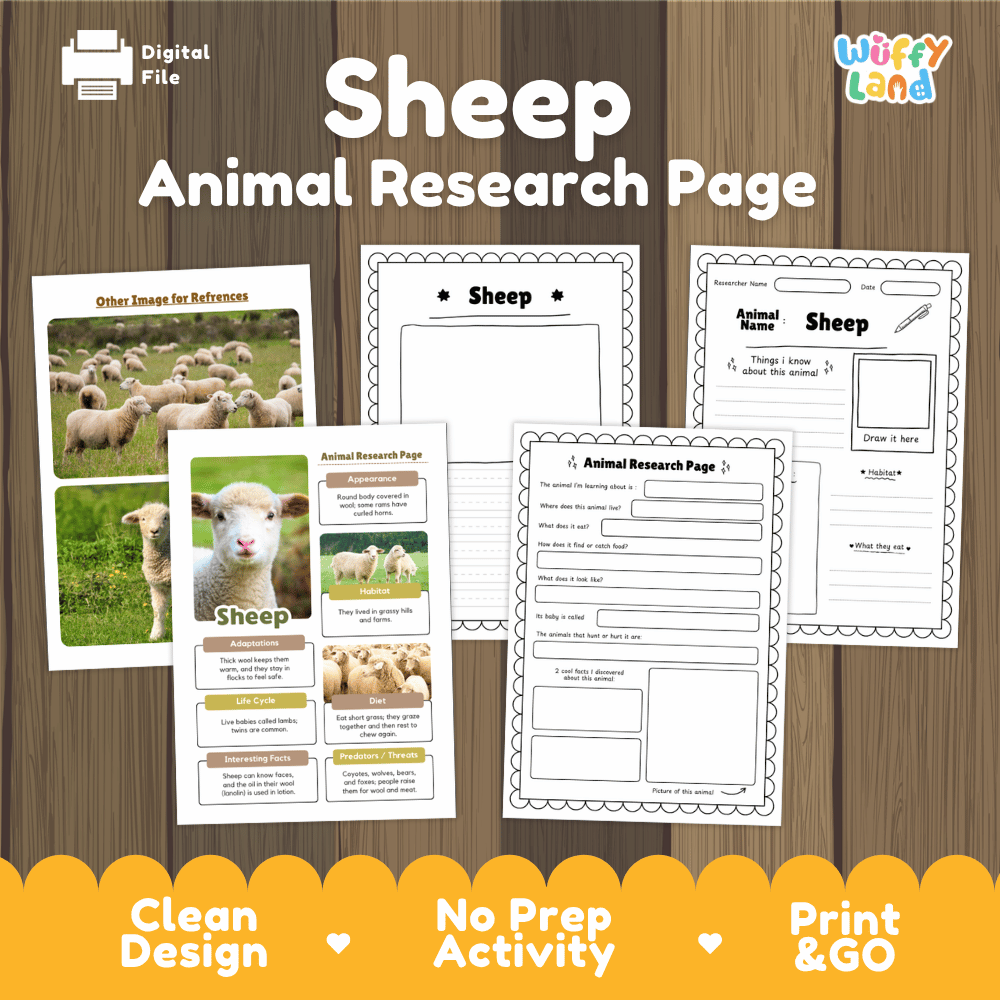 Sheep Animal Research Project Graphic Organizers and Fact Sheet