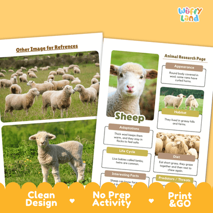Sheep Animal Research Project Graphic Organizers and Fact Sheet