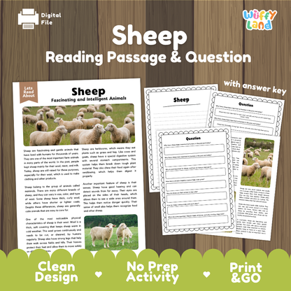 Sheep Reading Passage and Comprehension Questions Worksheets with Answer Key