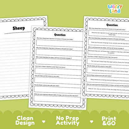Sheep Reading Passage and Comprehension Questions Worksheets with Answer Key