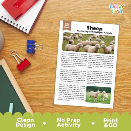 An educational activity sheet titled 'Sheep Fascinating and Intelligent Animals' printed on a white card, displayed on a wooden desk with school supplies including a spiral notebook, binder clips, and a pen. The brand 'Wiffly Land' is visible in the top right corner.