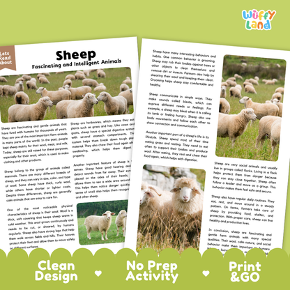 Sheep Reading Passage and Comprehension Questions Worksheets with Answer Key