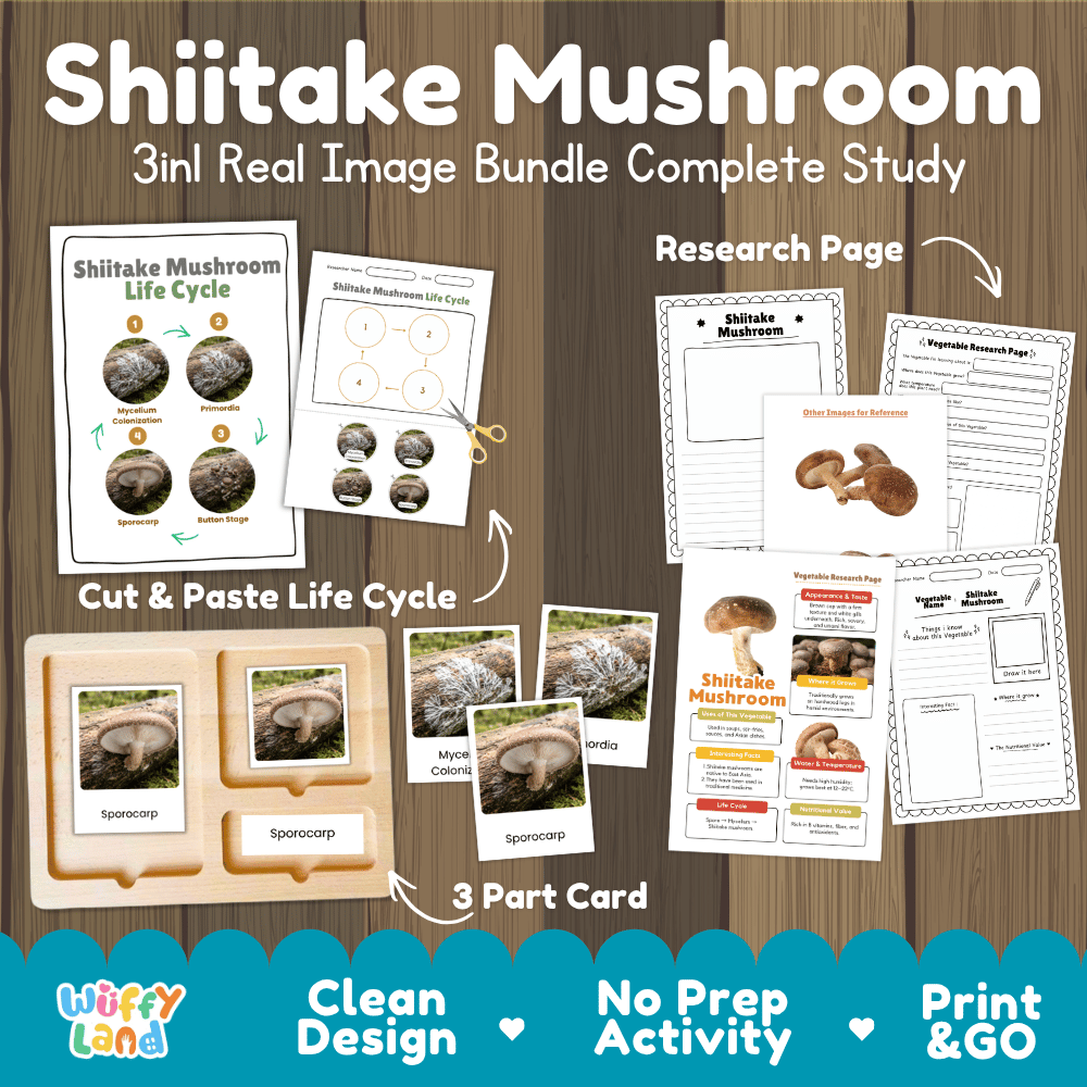 Shiitake mushroom 3in1 real image bundle complete study printable featuring life cycle cut and paste worksheets, Montessori 3-part cards, and research pages