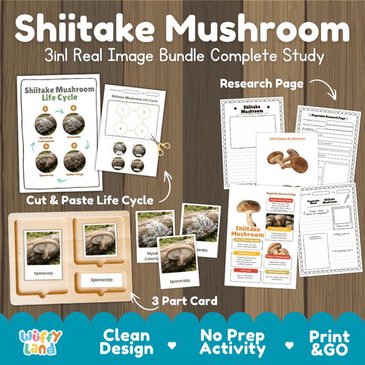 Shiitake mushroom 3in1 real image bundle complete study printable featuring life cycle cut and paste worksheets, Montessori 3-part cards, and research pages