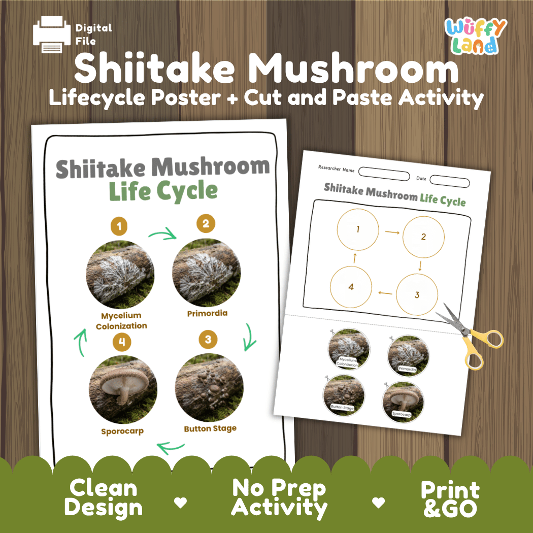 Shiitake mushroom life cycle educational printable pack cover showing visual reference poster and cut and paste sequencing worksheet with real photography