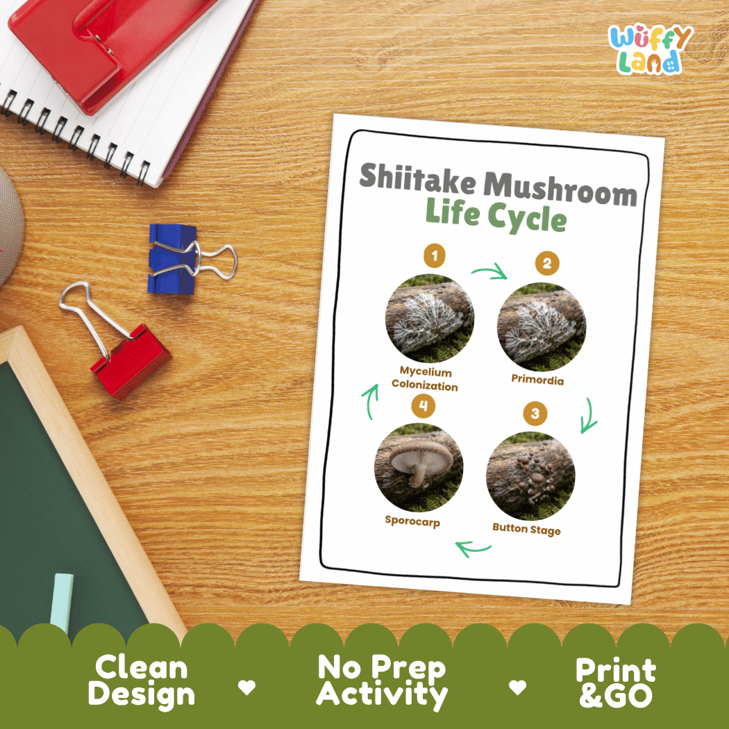 Hands-on cut and paste science worksheet for students to cut real photo tokens and sequence shiitake mushroom growth stages onto numbered circles