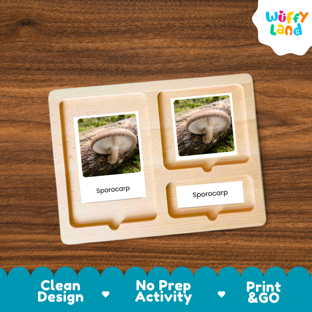 A wooden Montessori-style activity tray with two labeled slots reading 'Sporocarp' and printed mushroom photos, shown on a wood-grain background. A 'Wuffi Land' logo appears in the top right, and a blue promotional banner at the bottom highlights 'Clean Design', 'No Prep Activity', and 'Print & GO'.