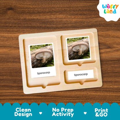 A wooden Montessori-style activity tray with two labeled slots reading 'Sporocarp' and printed mushroom photos, shown on a wood-grain background. A 'Wuffi Land' logo appears in the top right, and a blue promotional banner at the bottom highlights 'Clean Design', 'No Prep Activity', and 'Print & GO'.
