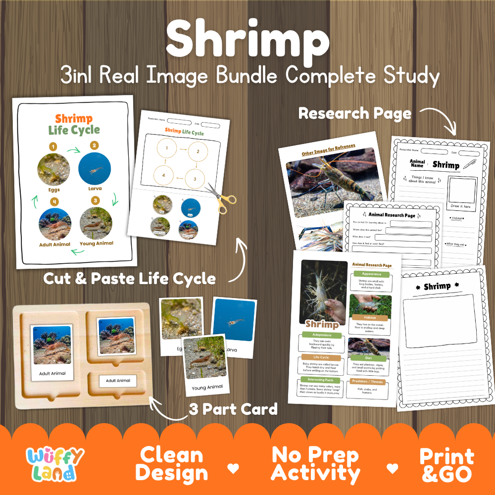 Shrimp 3-in-1 real image bundle complete study cover showing cut and paste life cycle, 3 part cards, and research pages