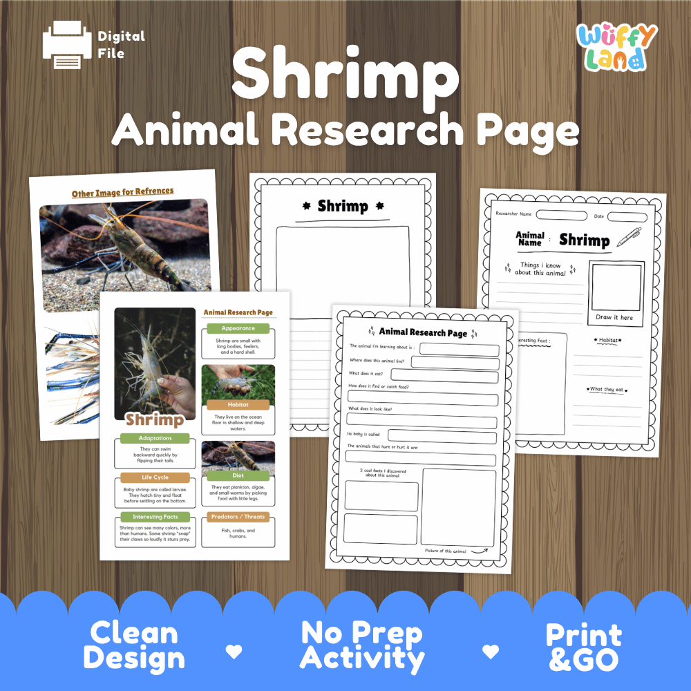 A digital printable worksheet set titled 'Shrimp Animal Research Page' shown on a wood background. The layout includes multiple printed page designs for animal research, with one page featuring a shrimp photo and text sections, plus a 'Wiffly Land' logo in the top right.