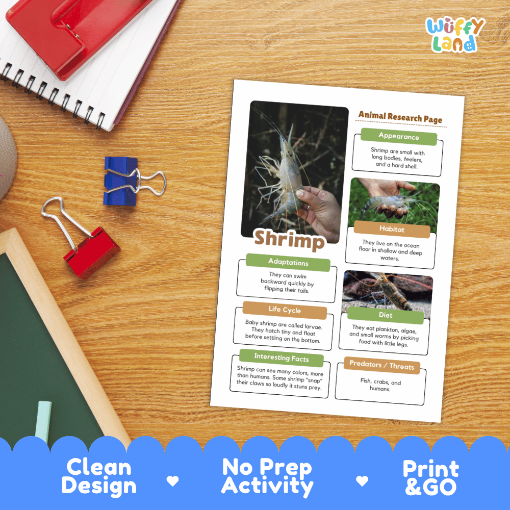 A printed animal research page about shrimp is displayed on a wooden desk, surrounded by school supplies like a spiral notebook, binder clips, and a green pencil. The page includes text sections, images, and a title.