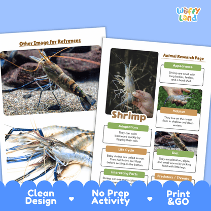 Two printed educational reference sheets about shrimp displayed on a blue background, with the title 'Other Image for References' on one page and an 'Animal Research Page' layout on the other. The sheets show photos of shrimp, text sections, and a small 'Wuffy Land' logo in the top right.