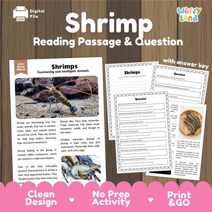 Shrimp Reading Passage and Comprehension Questions Worksheets