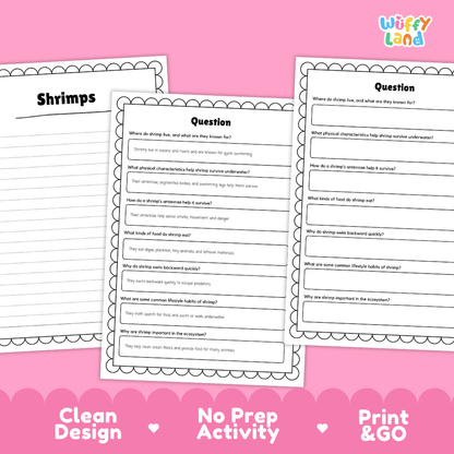 Shrimp Reading Passage and Comprehension Questions Worksheets