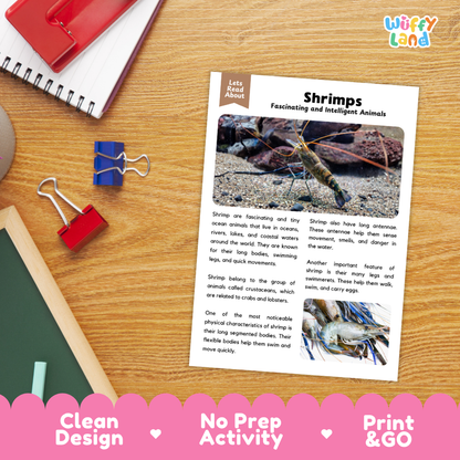Shrimp Reading Passage and Comprehension Questions Worksheets