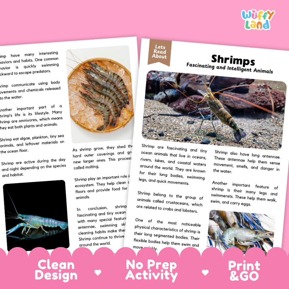Shrimp Reading Passage and Comprehension Questions Worksheets