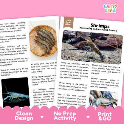 Shrimp Reading Passage and Comprehension Questions Worksheets