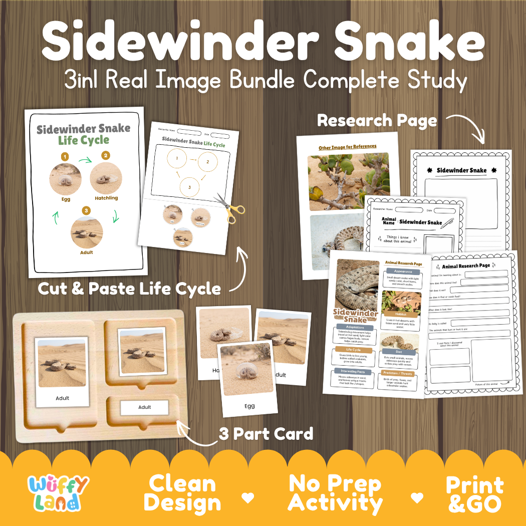 Sidewinder Snake 3-in-1 real image bundle complete study cover showing cut and paste life cycle, 3 part cards, and research pages