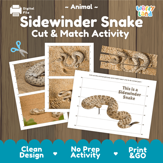 Sidewinder Snake Cut and Match Activity Worksheets | Animal Puzzle Printables