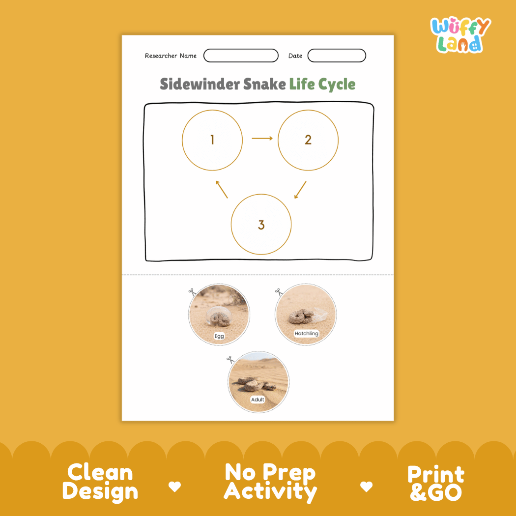 Sidewinder Snake Life Cycle Poster and Cut and Paste Activity Worksheet