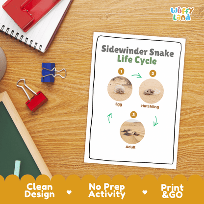 Sidewinder Snake Life Cycle Poster and Cut and Paste Activity Worksheet