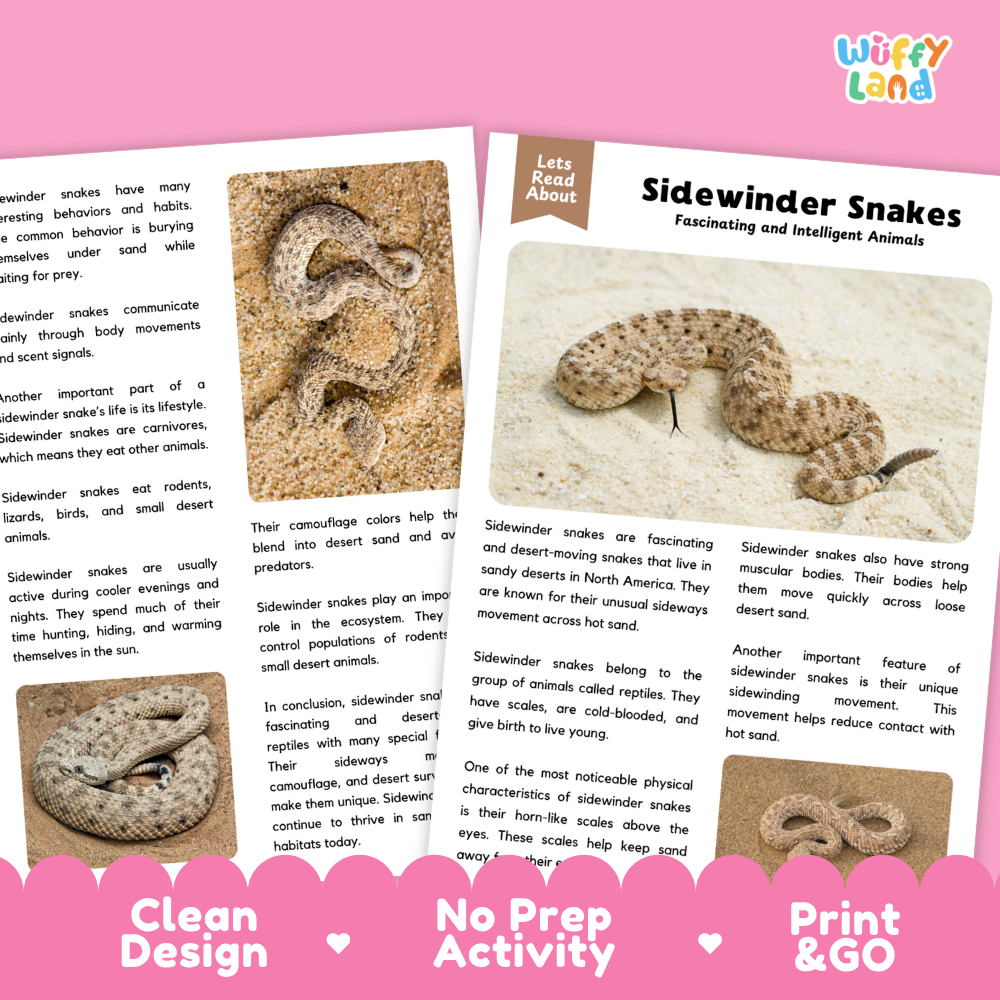 Sidewinder Snake Reading Passage and Comprehension Questions Worksheets