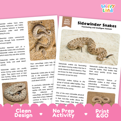Sidewinder Snake Reading Passage and Comprehension Questions Worksheets