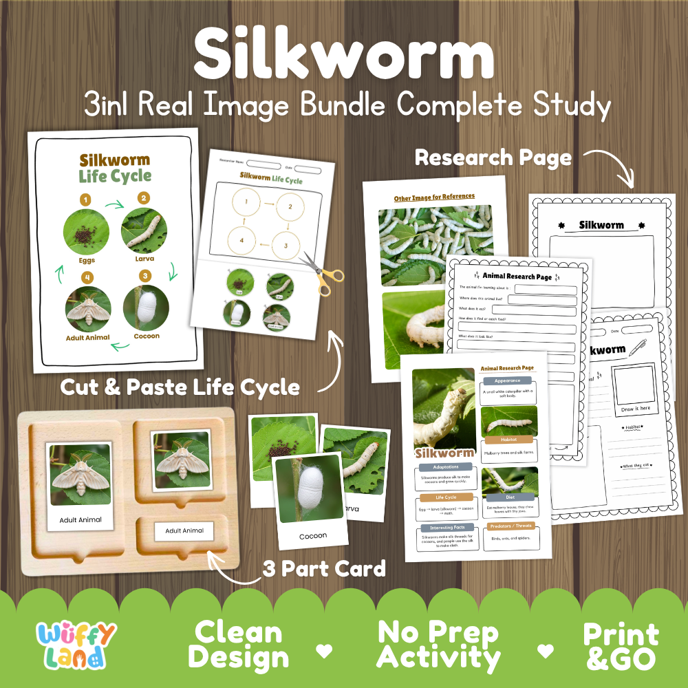 Silkworm 3-in-1 real image bundle complete study cover showing cut and paste life cycle, 3 part cards, and research pages