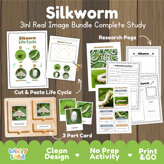 Silkworm 3-in-1 real image bundle complete study cover showing cut and paste life cycle, 3 part cards, and research pages