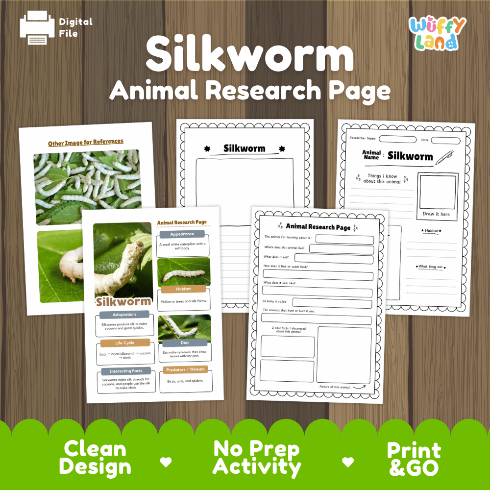 Silkworm Animal Research Page Worksheets and Fact Sheet Activity
