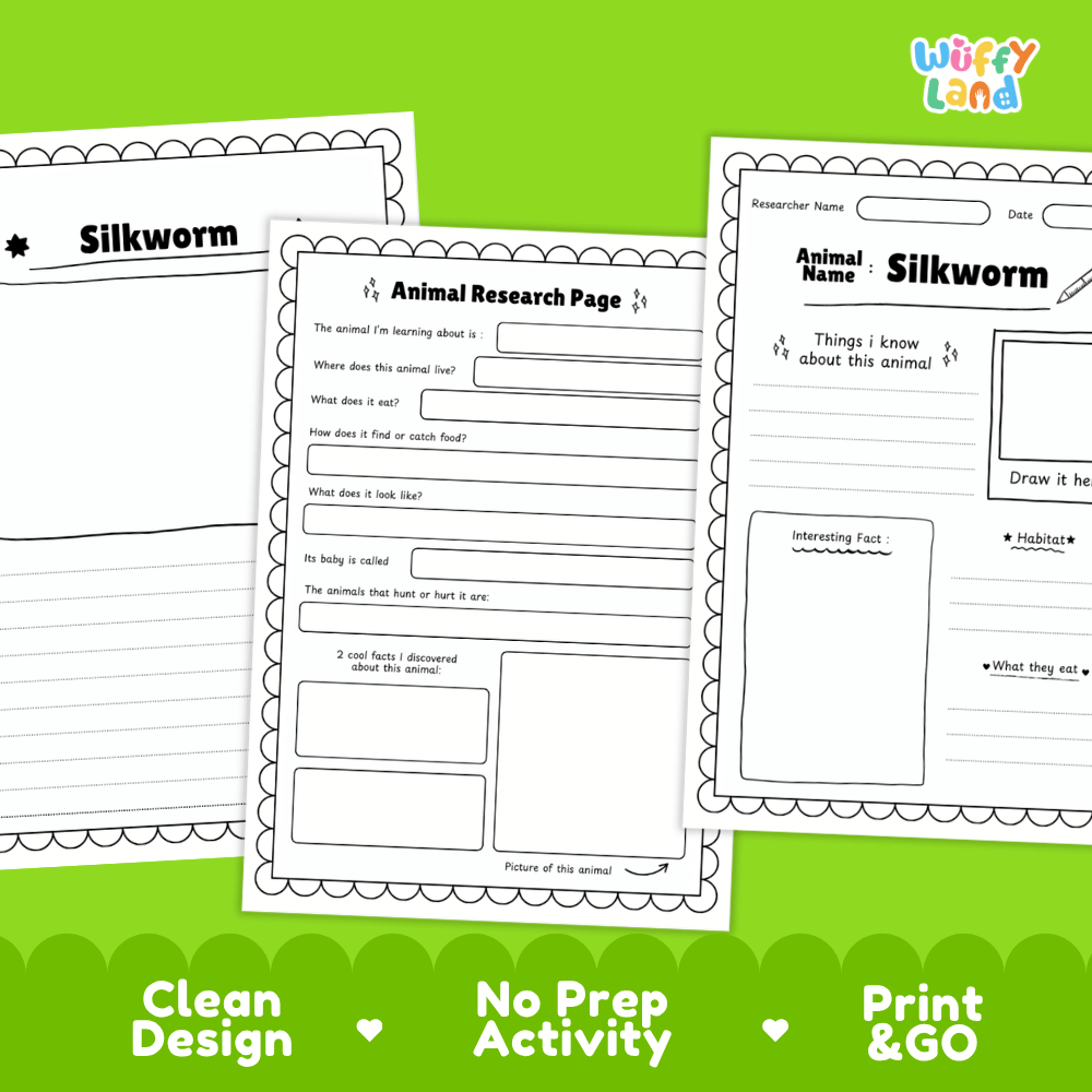 Silkworm Animal Research Page Worksheets and Fact Sheet Activity