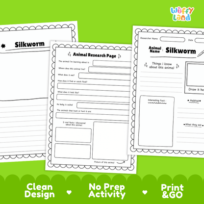 Silkworm Animal Research Page Worksheets and Fact Sheet Activity