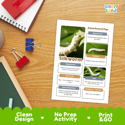 Silkworm Animal Research Page Worksheets and Fact Sheet Activity