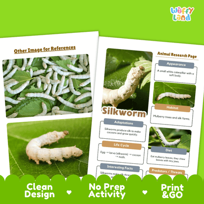 Silkworm Animal Research Page Worksheets and Fact Sheet Activity